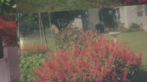 Perfect Place for Mom and Dad Thumbnail