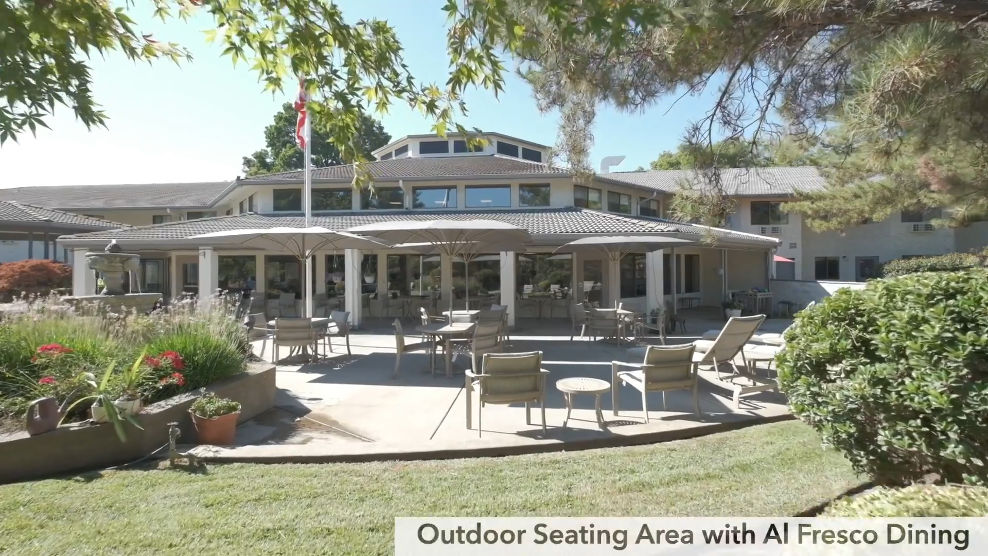 Provincial Chico Thumbnail